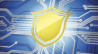 2019年蒼南縣網(wǎng)絡(luò)安全宣傳周啟動(dòng) 聚焦網(wǎng)絡(luò)安全軟件開(kāi)發(fā)，活動(dòng)精彩不容錯(cuò)過(guò)